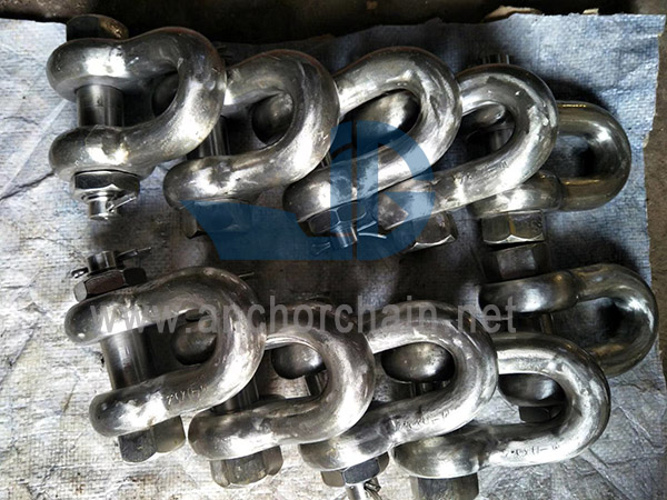 หน่วยงานรักษาความปลอดภัยของสหรัฐอเมริกา Dee Shackles G2150
